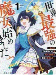 综艺切片花架缩略图